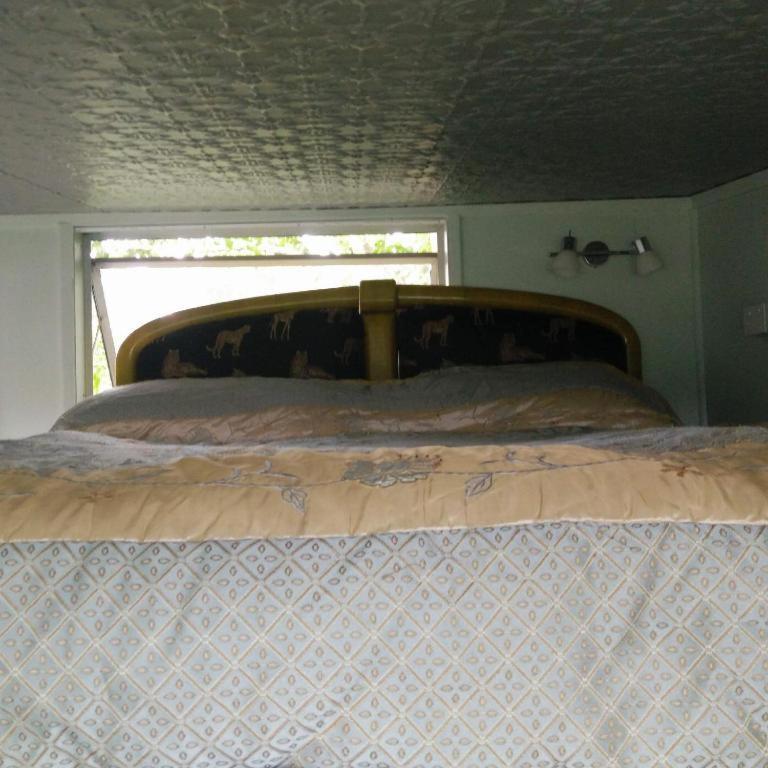 Starry Nights Cabin Fever Waikino 部屋 写真